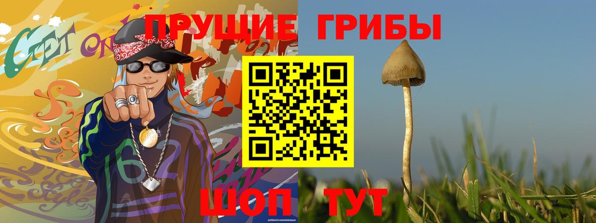 Галлюциногенные грибы MAGIC MUSHROOMS  Галлюциногенные грибы Cubensis  Вход с VPN  Алатырь 